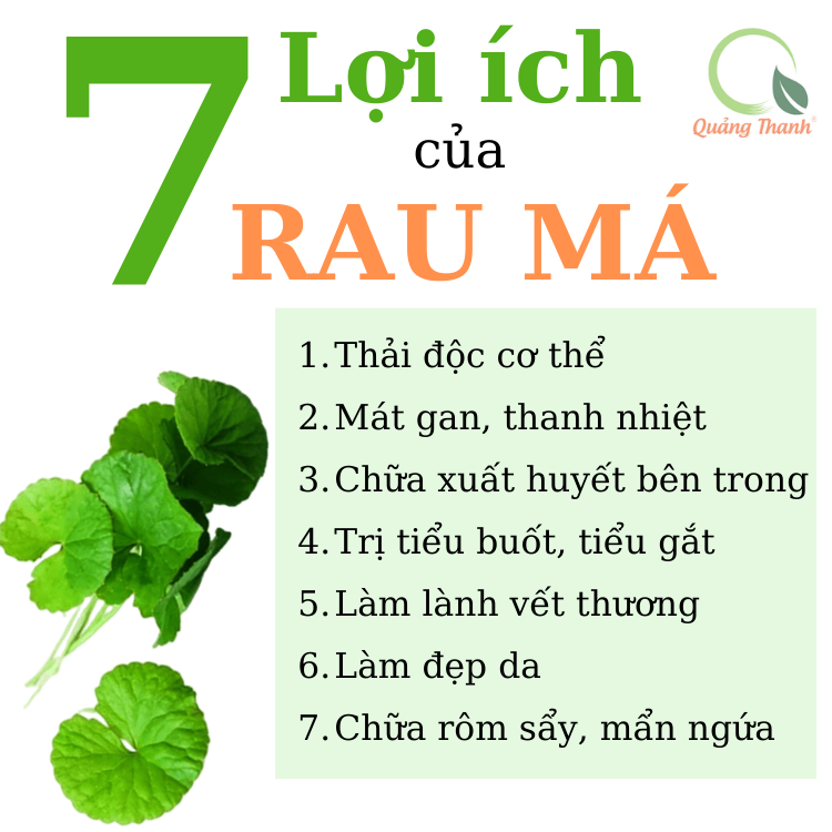 Gói mini Rau Má Thanh Mát 15g Quảng Thanh - Nguyên Chất, Có Đường Phèn - Tiện lợi, tiết kiệm - thanh mát, tăng cường dinh dưỡng