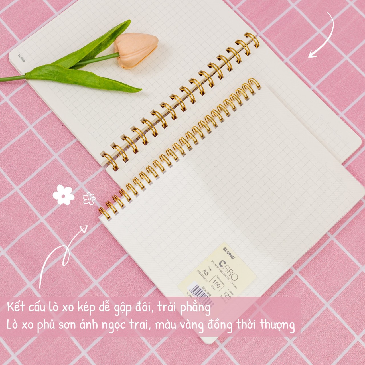Sổ Dash Caro mm lò xo kép bìa nhựa 2 mặt A5 120/200 trang 100/76; MS: 592,593 Klong - VPP Thiên Ái