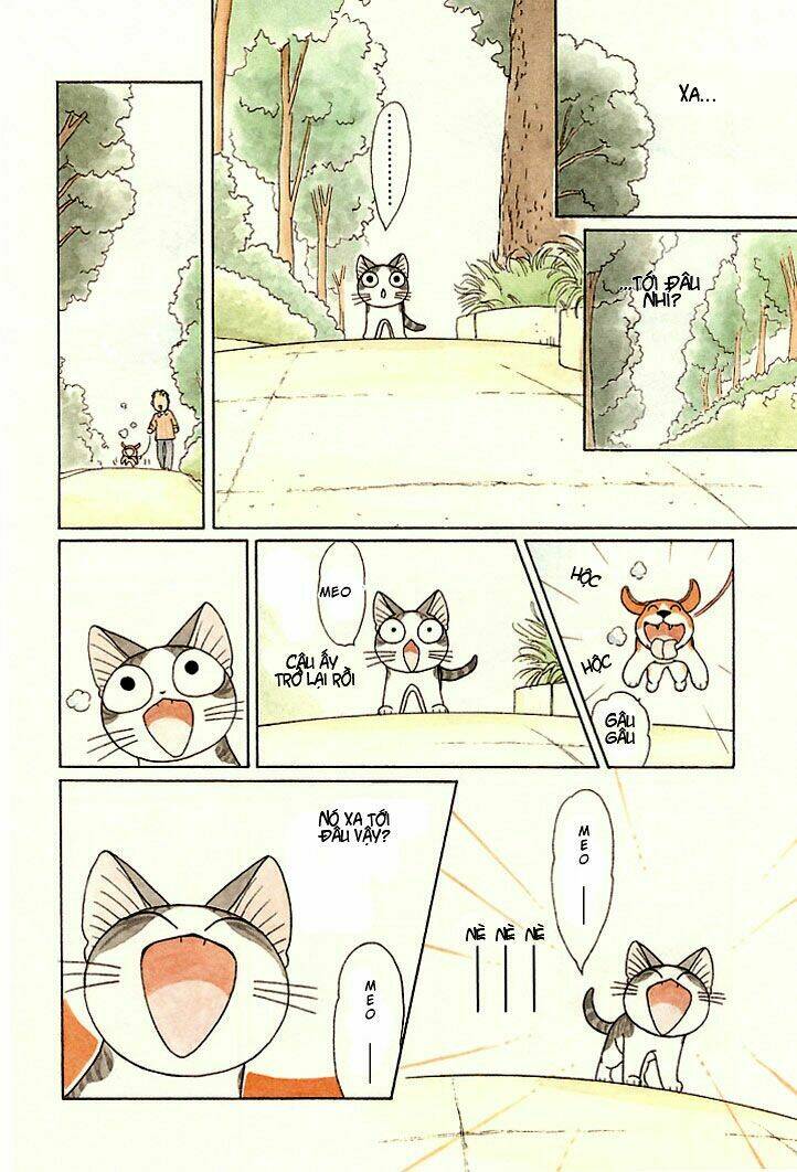 chi's sweet home chapter 81 8