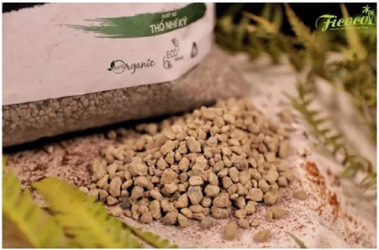 Đá Pumice - Đá bọt - Ficoco-Size 1-2cm