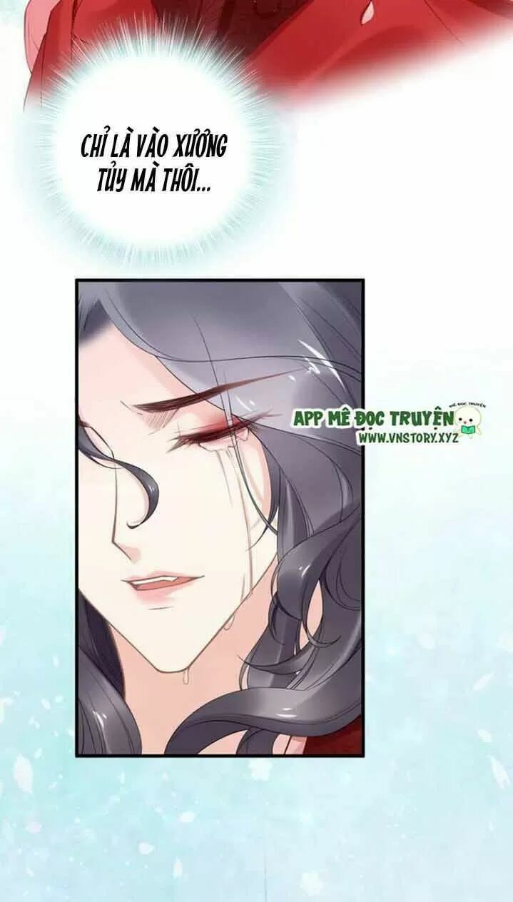 nhất sinh nhất thế tiếu thương khung chapter 90 15