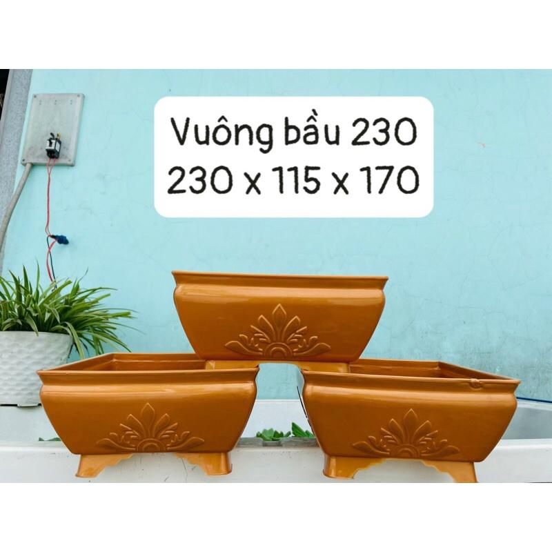 Chậu Hoa, Chậu Bonsai, Chậu Vuông Dáng Lùn, Chậu Vuông Dáng Cao, Chậu Sen Đá, Chậu Nhựa 4 Chân Cao, Chậu Hoa Chưng Tết