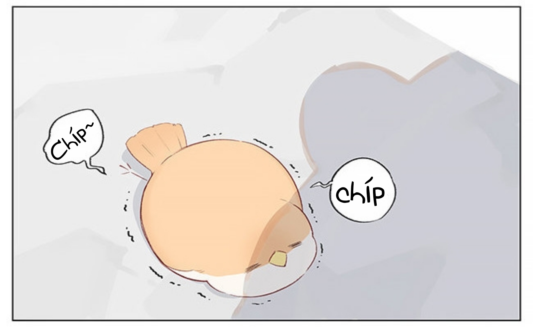 sẻ chiếu mới và nhạn phong sương chapter 2 8