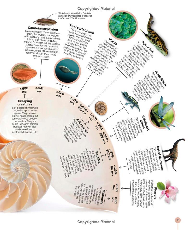 Sách ngoại văn: Timelines of Science - From Fossils To Quantum Physics