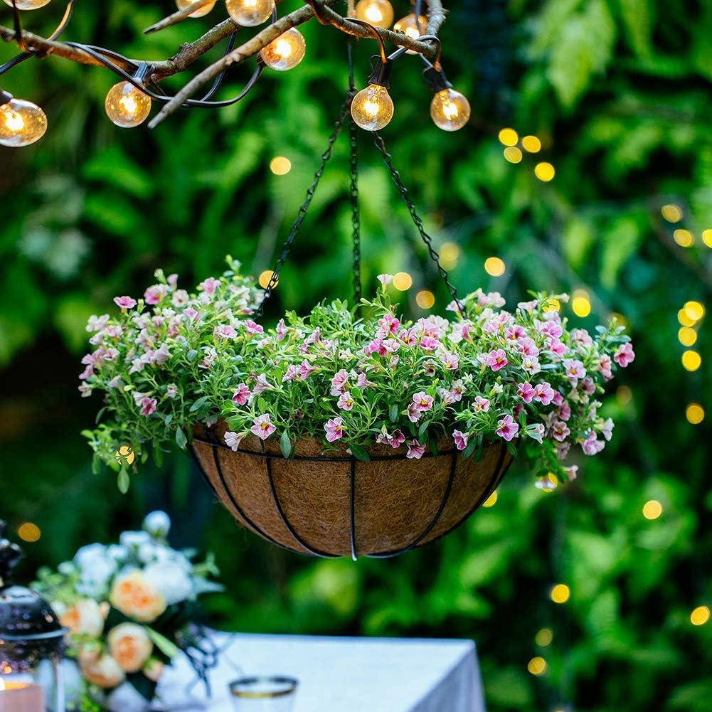 Giỏ treo thực vật 2 mảnh Chậu treo bằng kim loại 20,5cm có lót dừa cho chậu trồng cây có xích, dây Chậu trồng cây treo lớn cho cây ngoài trời