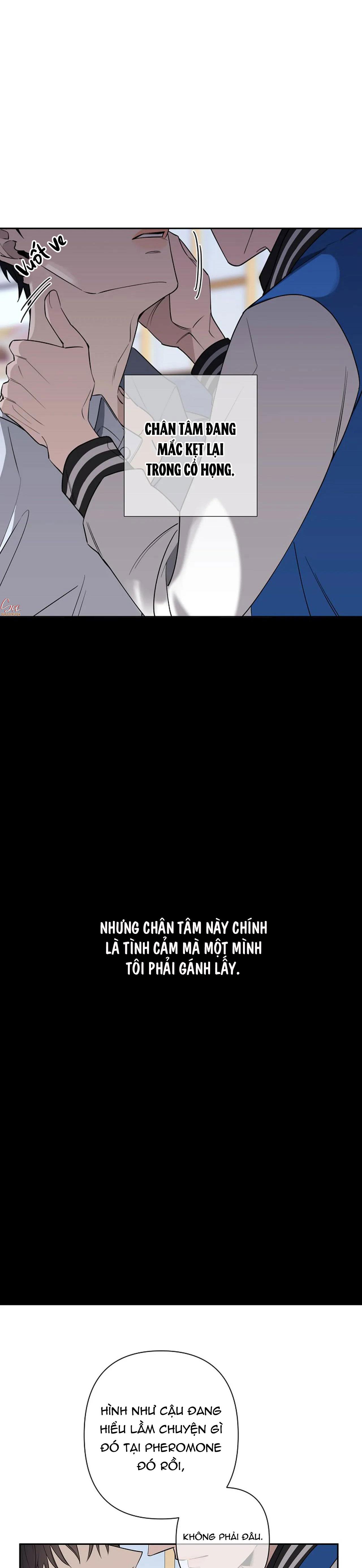 đêm dịu dàng chapter 40 10