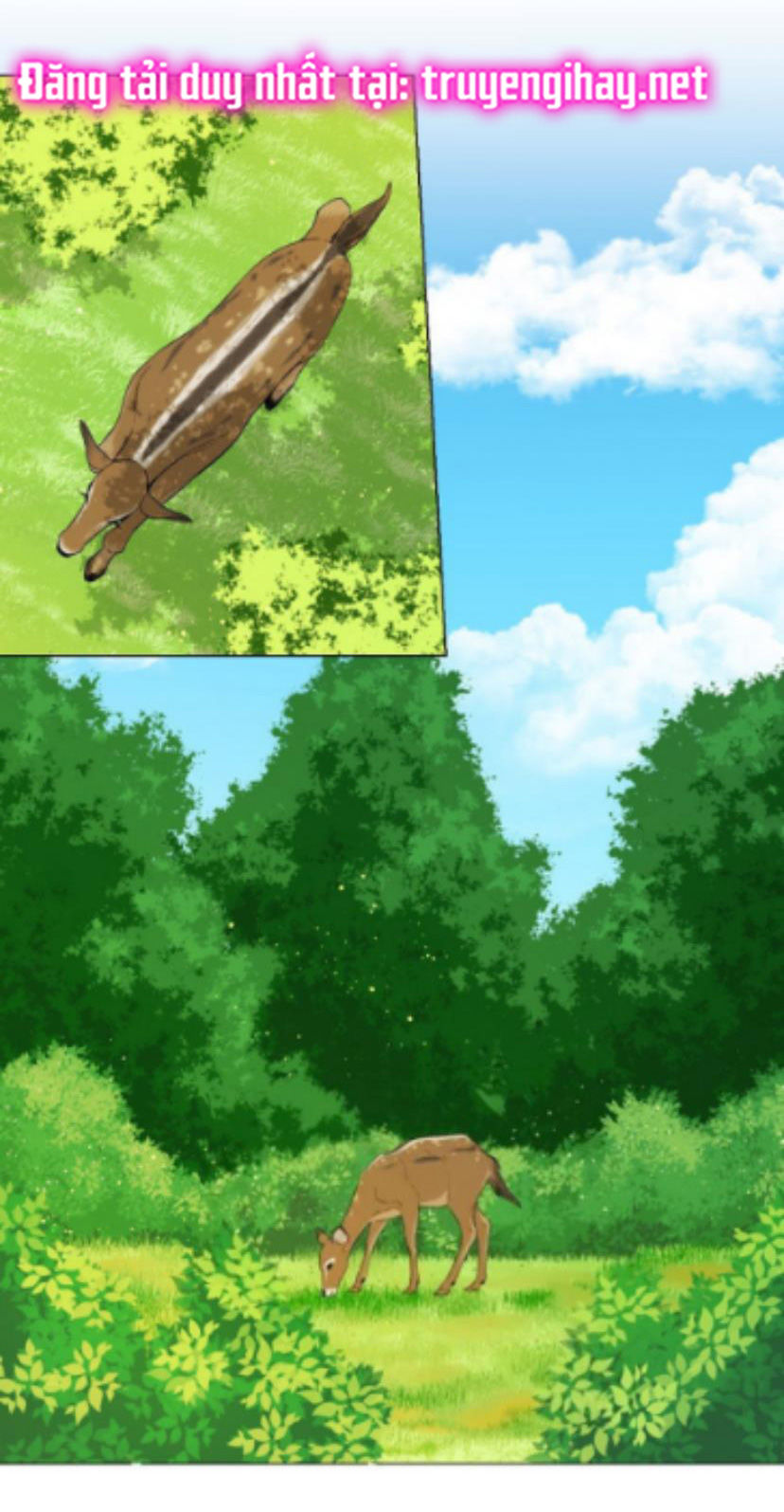 từ tiểu thư thành hoàng hậu - lady to queen chapter 26.2 2