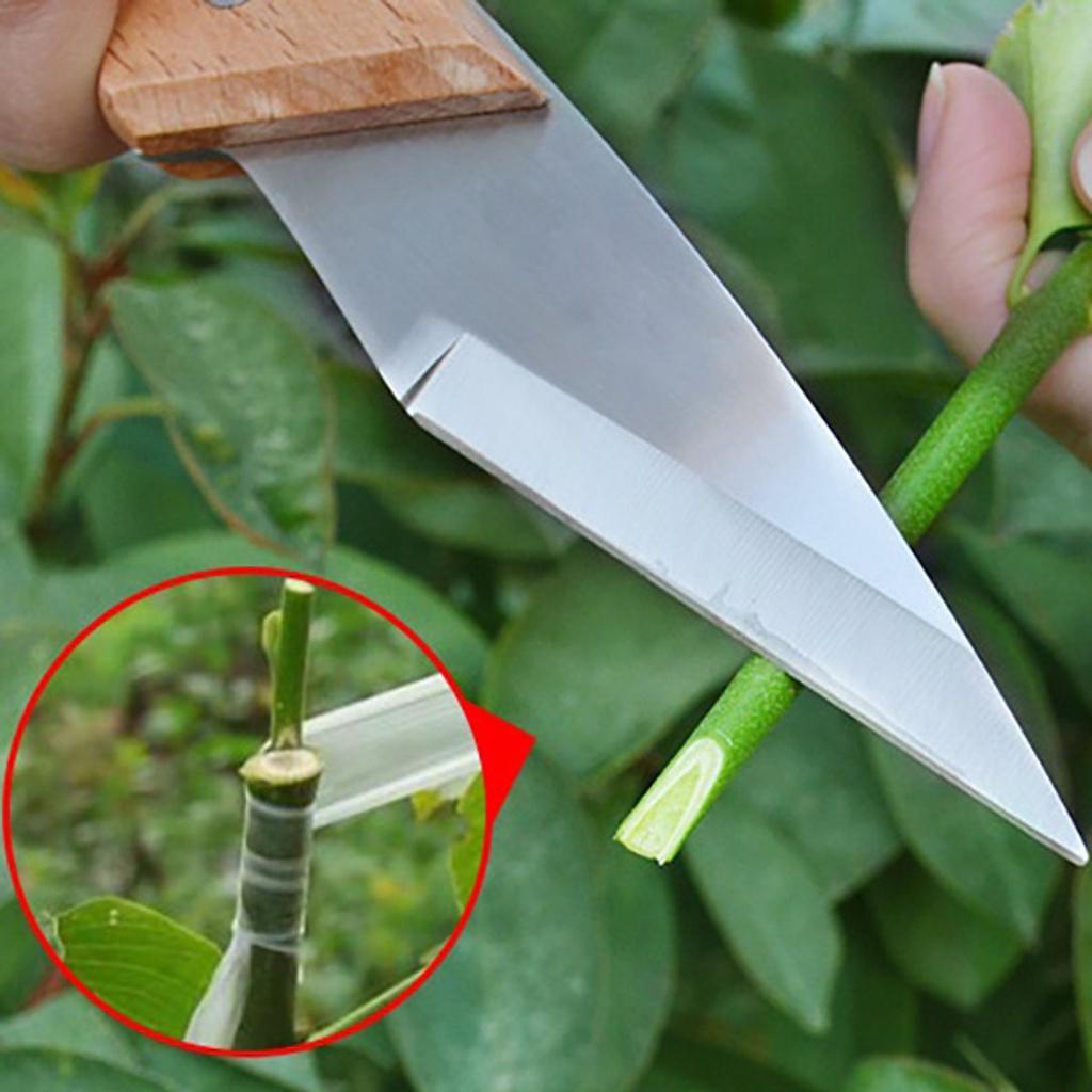 Dao ghép cành, chiết cành cán gỗ gấp dễ dàng, thép nhật không rỉ, lưỡi sắc bén - Anh nông dân chính hiệu