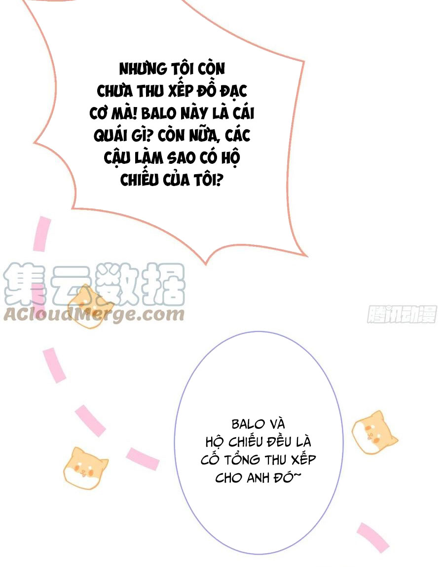 lại bị nam thần chọc trên hot search! chapter 95 17