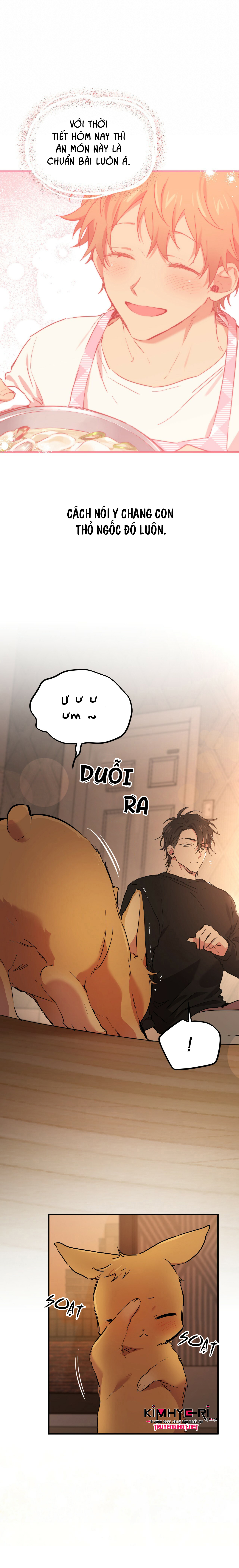 những chú thỏ của hapypy chapter 14 5