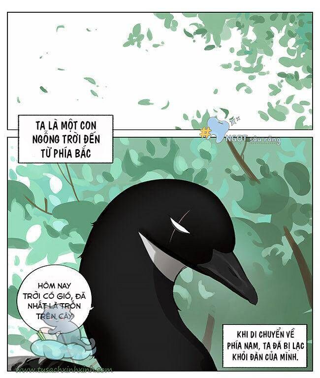 chim sẻ gọi ngỗng trời chapter 7 2