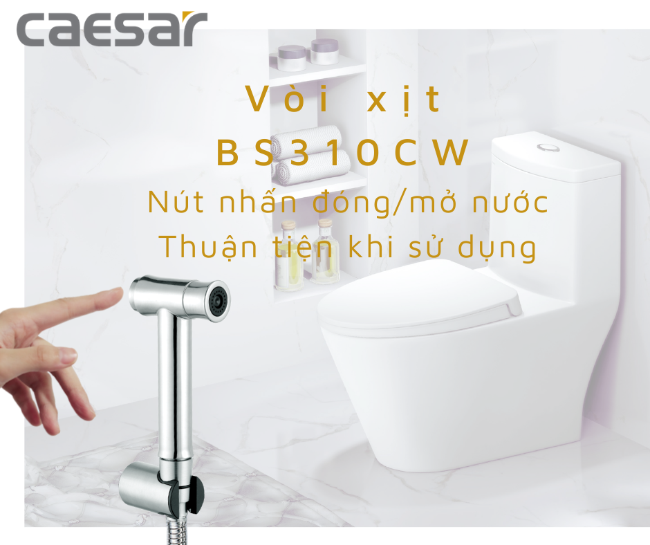 VÒI XỊT INOX 304 - BS310CW CAESAR