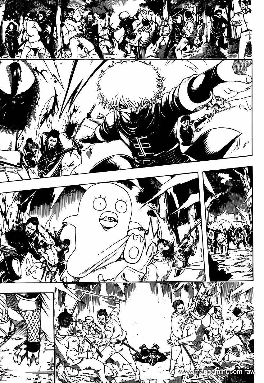 gintama - linh hồn bạc chapter 538 5