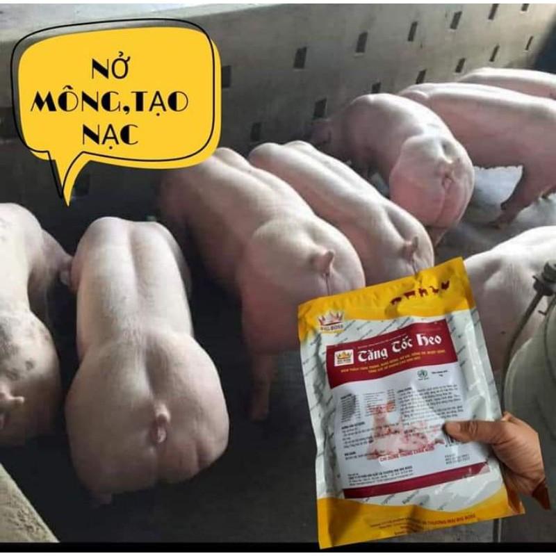Tăng tốc heo lớn nhanh, bung mông nở vai, hồng hào 10 bịch- 10kg