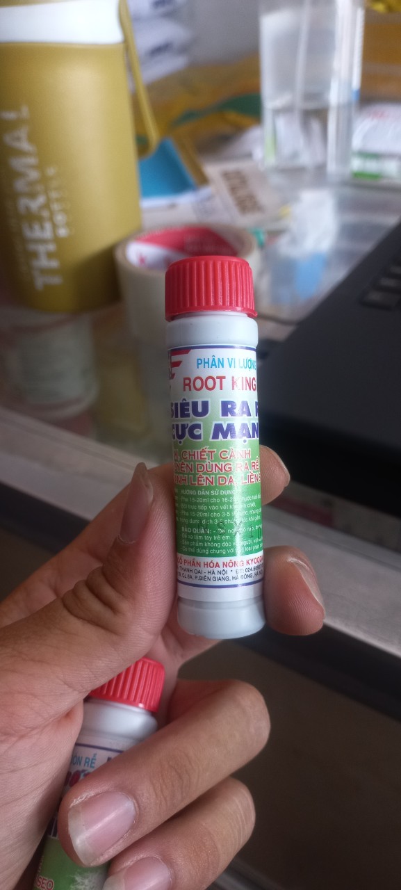 Kích rể,siêu ra rể cho cây kiểng combo 2 lọ