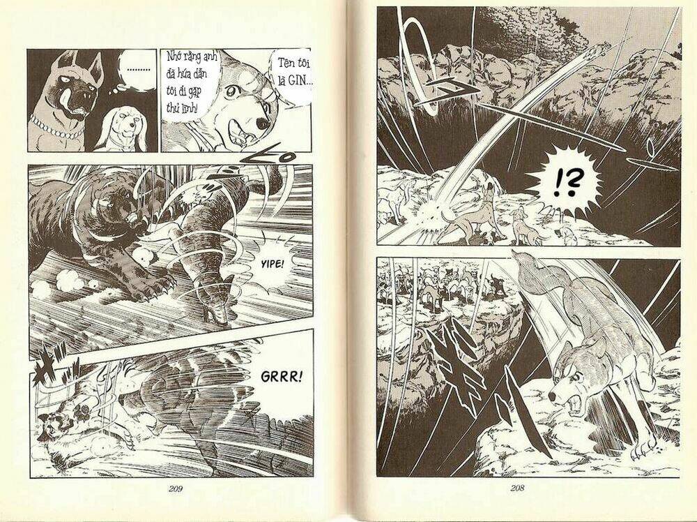 chú chó có nghĩa - ginga nagareboshi gin chapter 10 26