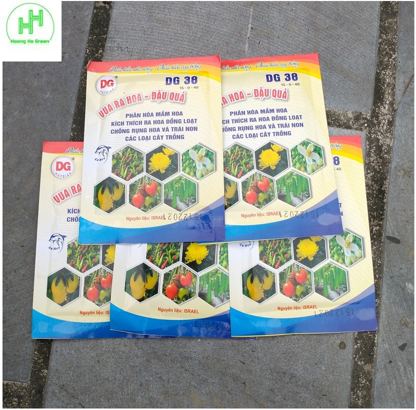 5 Gói Phân bón DG 38 15-0-40 vua ra hoa - đậu quả, phân hóa mầm hoa, kích ra hoa đồng loạt, chống rụng hoa v à trái non.