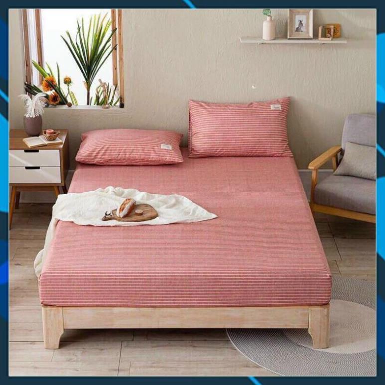 Bộ ga giường và vỏ gối cotton tici kẻ - set ga gối cotton - drap giường