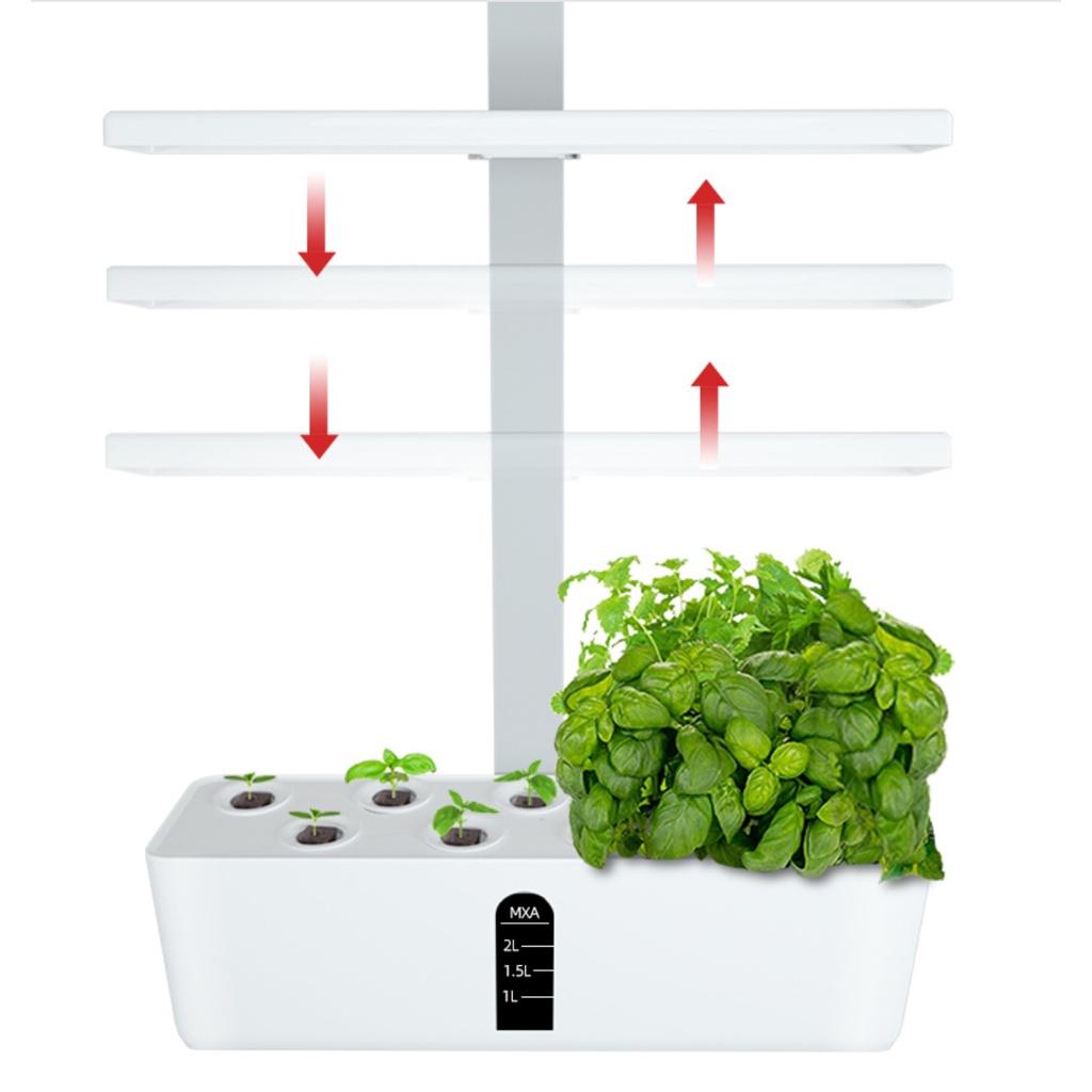 Máy Nảy Mầm Gốc Nhanh Smart Cultivation