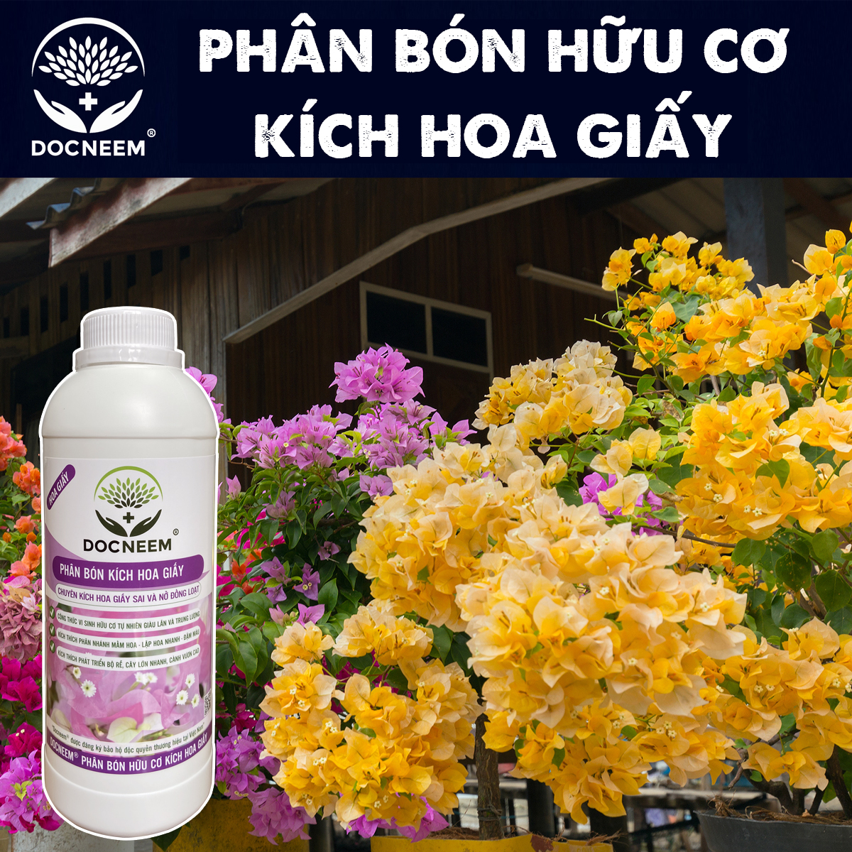 Phân bón hoa giấy DOCNEEM, kích bông giấy ngũ sắc, cẩm thạch, thái, mỹ sai hoa, lặp hoa nhanh, nở đồng loạt, chai 1 lít