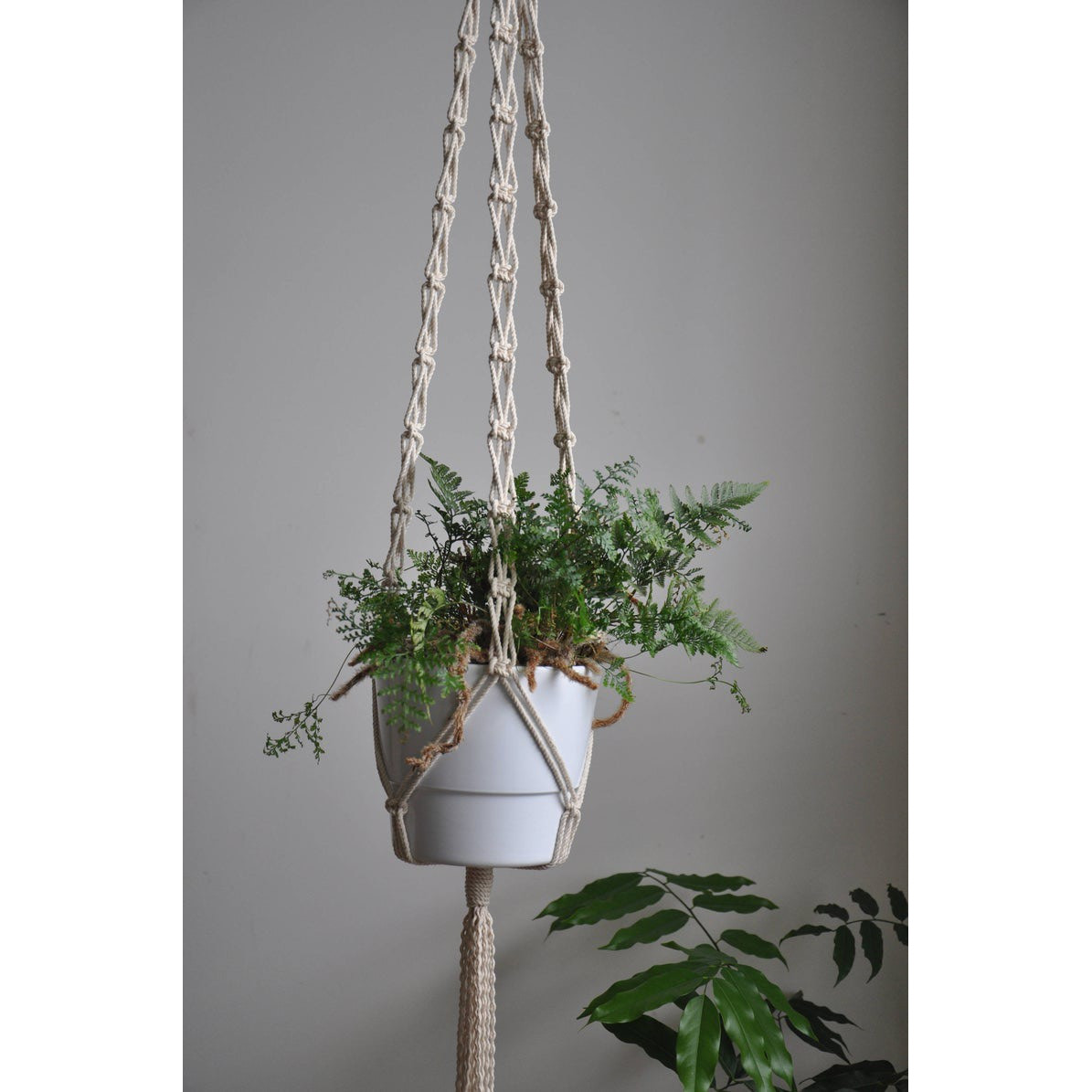 01 Dây tết thủ công Macrame treo tường trang trí chậu cây cảnh kết hợp vòng gỗ. DT270321