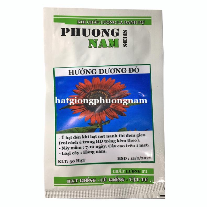 30H - HẠT GIỐNG HOA HƯỚNG DƯƠNG ĐỎ