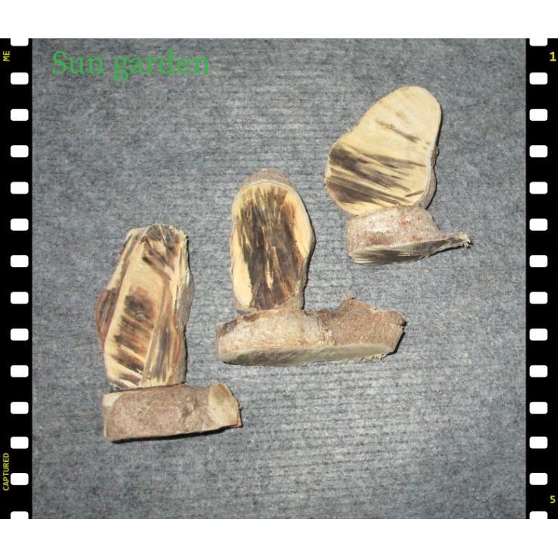 TƯỢNG GỖ MAI TRANG TRÍ SÁNG TẠO