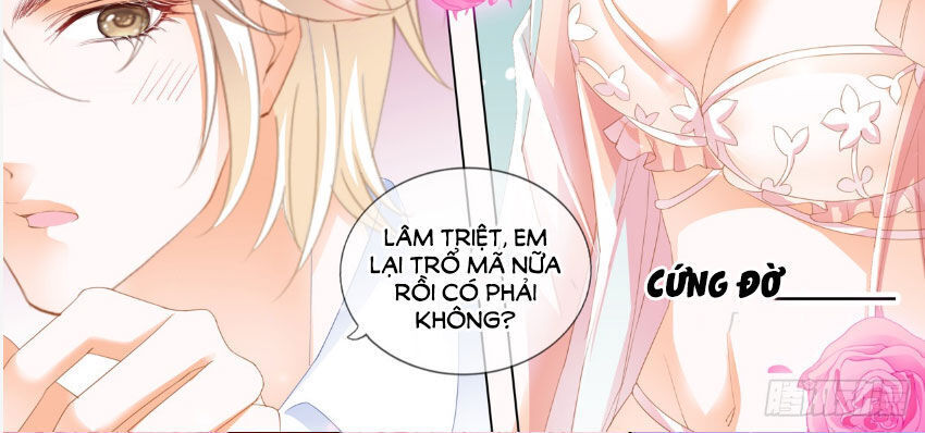 lóe thiểm hôn kiều thê mơ tưởng trốn chapter 251 9