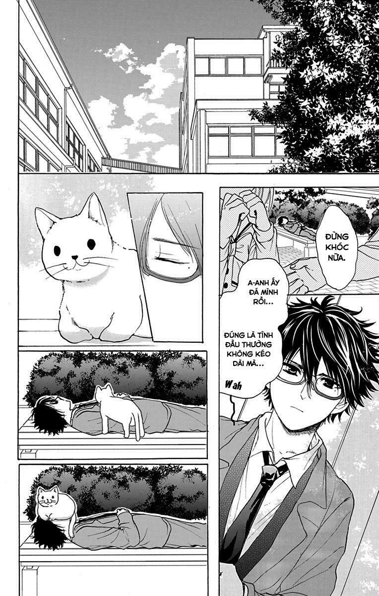 anitomo - bạn của anh trai tôi chapter 14 20