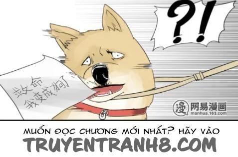 một con chó chapter 2 8