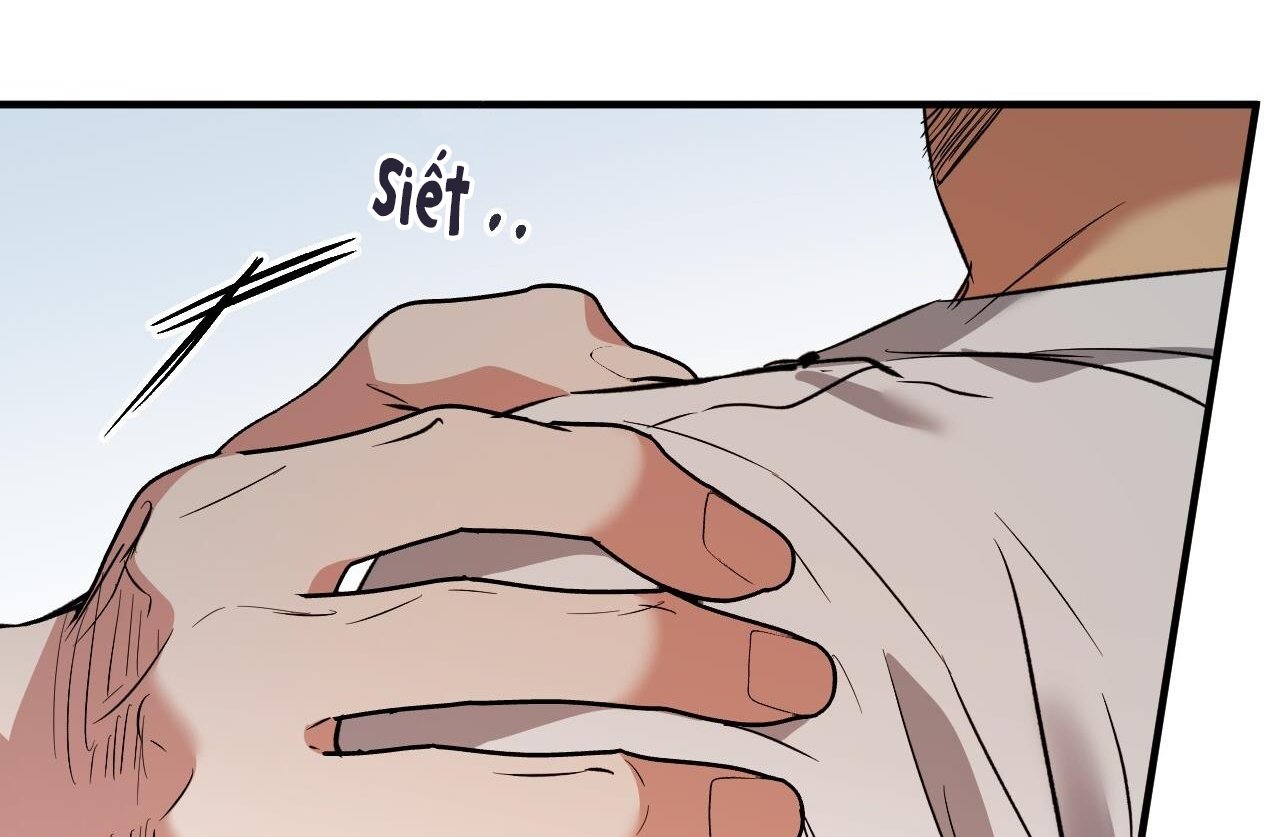 những chú thỏ của hapypy chapter 61 37