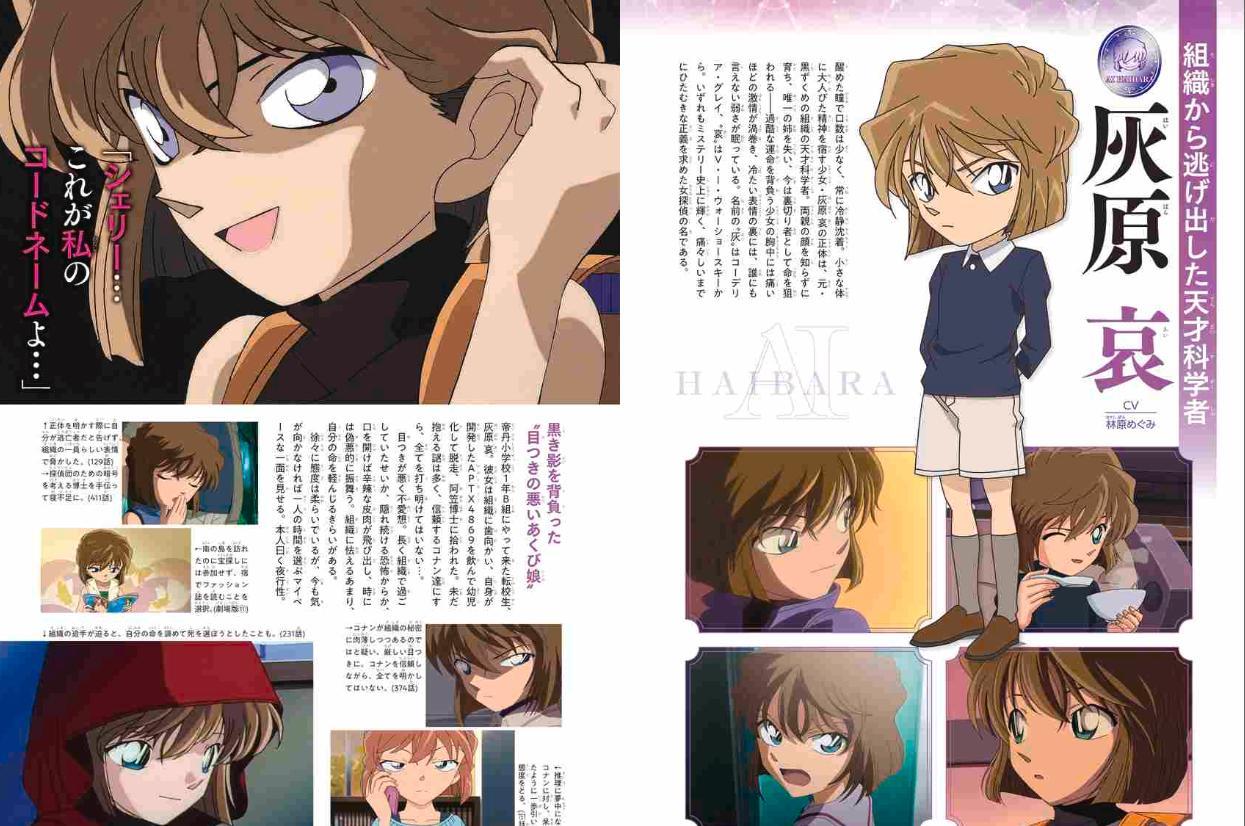 Detective Conan: Secret Archives Ai Haibara (Japanese Edition)