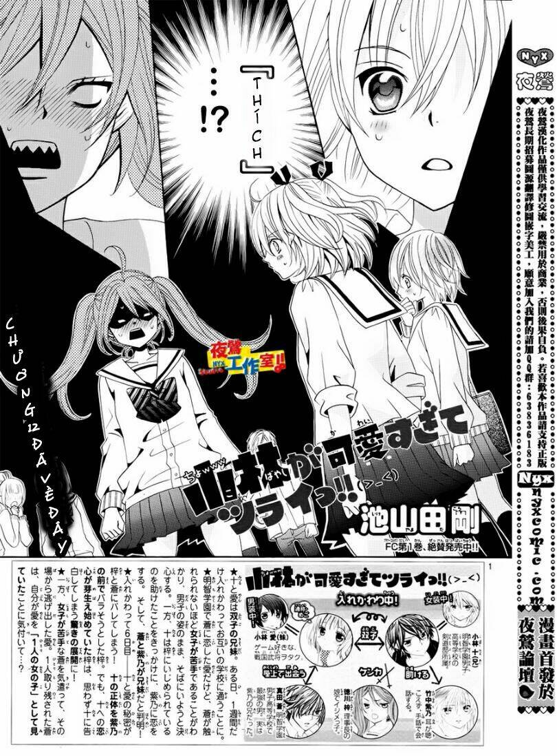 cuộc gặp gỡ diệu kỳ chapter 12 2