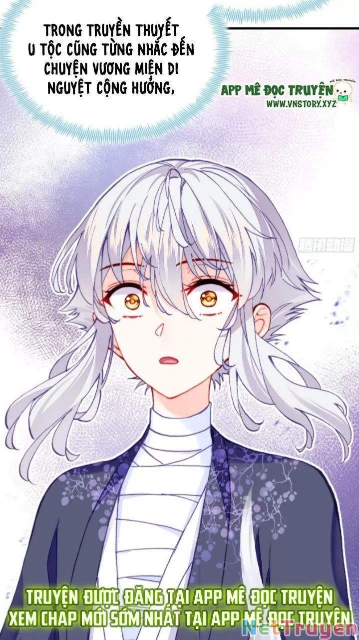 lại bị bệnh chiều chuộng quấn lấy chapter 20 21