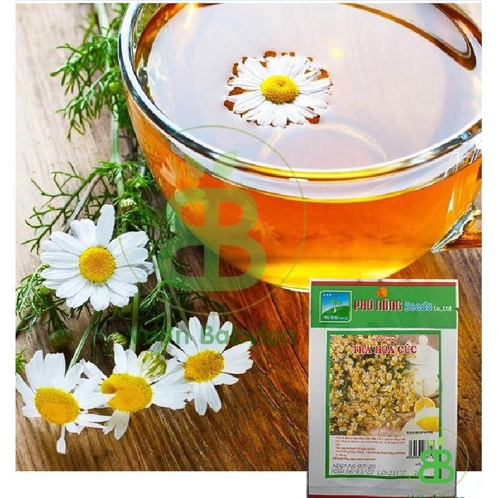 Hạt giống cây trà hoa cúc phú nông-1 gói 3 gram