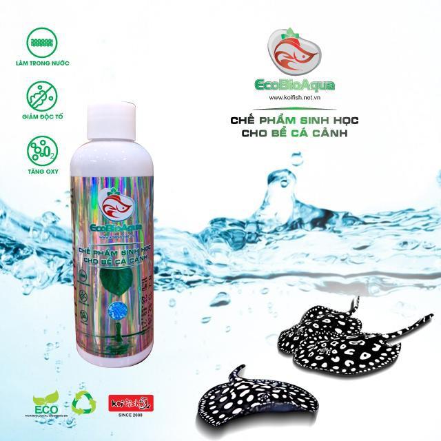 Tạo vi sinh cho hồ cá/bể cá - Koifish