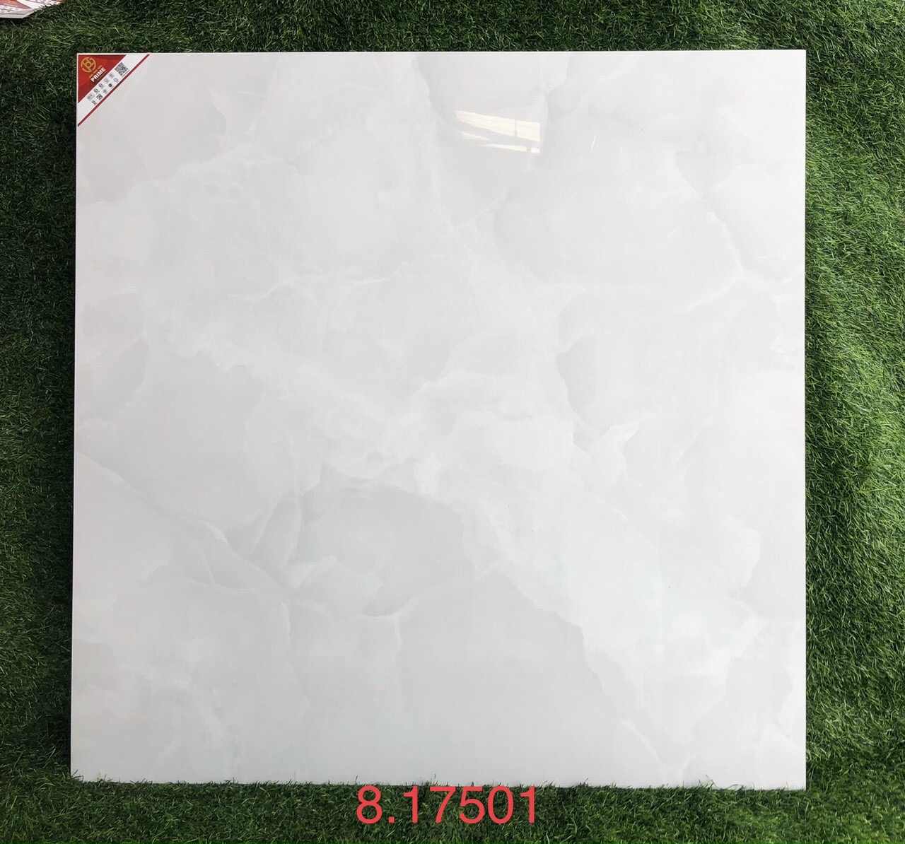 Đá bóng kính toàn phần Prime 80x80 17501