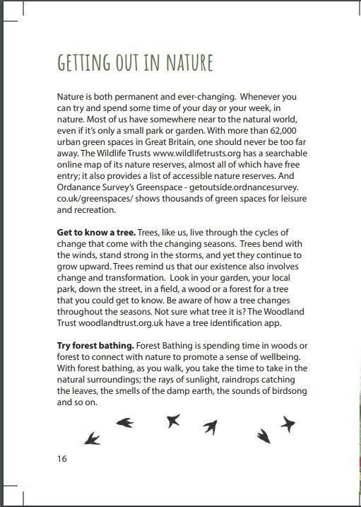 Sách - Moments of Comfort - Embracing the Joy in Life's Simple Pleasur by Gill Hasson Eliza Todd