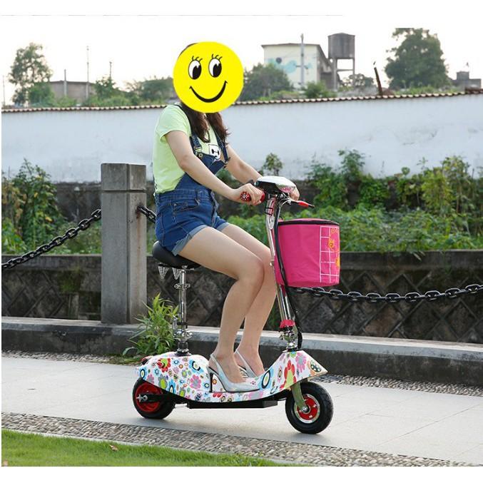 Xe điện scooter tải trọng 120kg 24V có giỏ xách tốc độ 30km/h - Home and Garden