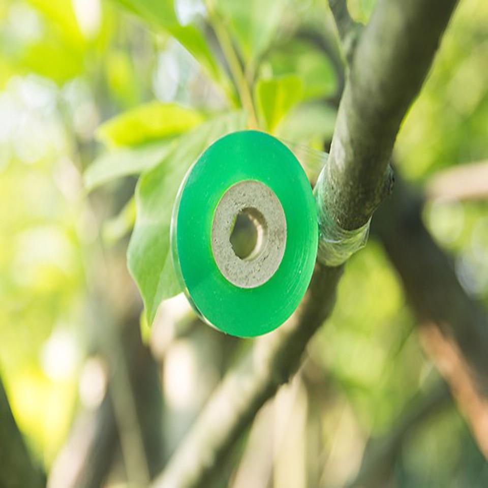 Keo ghép cành tự hủy Nhật bản 6cm, ghép cành cây, bonsai, cây ăn trái, chống nước tăng tỷ lệ sống mầm