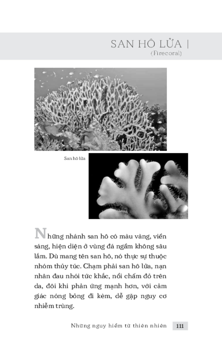 Những Nguy Hiểm Từ Thiên Nhiên _TRE