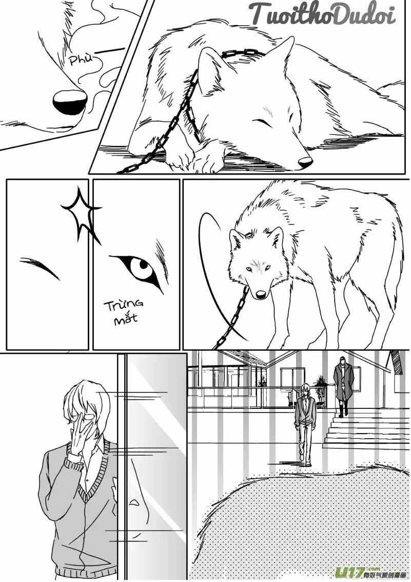 sự mê hoặc của sói chapter 37 8