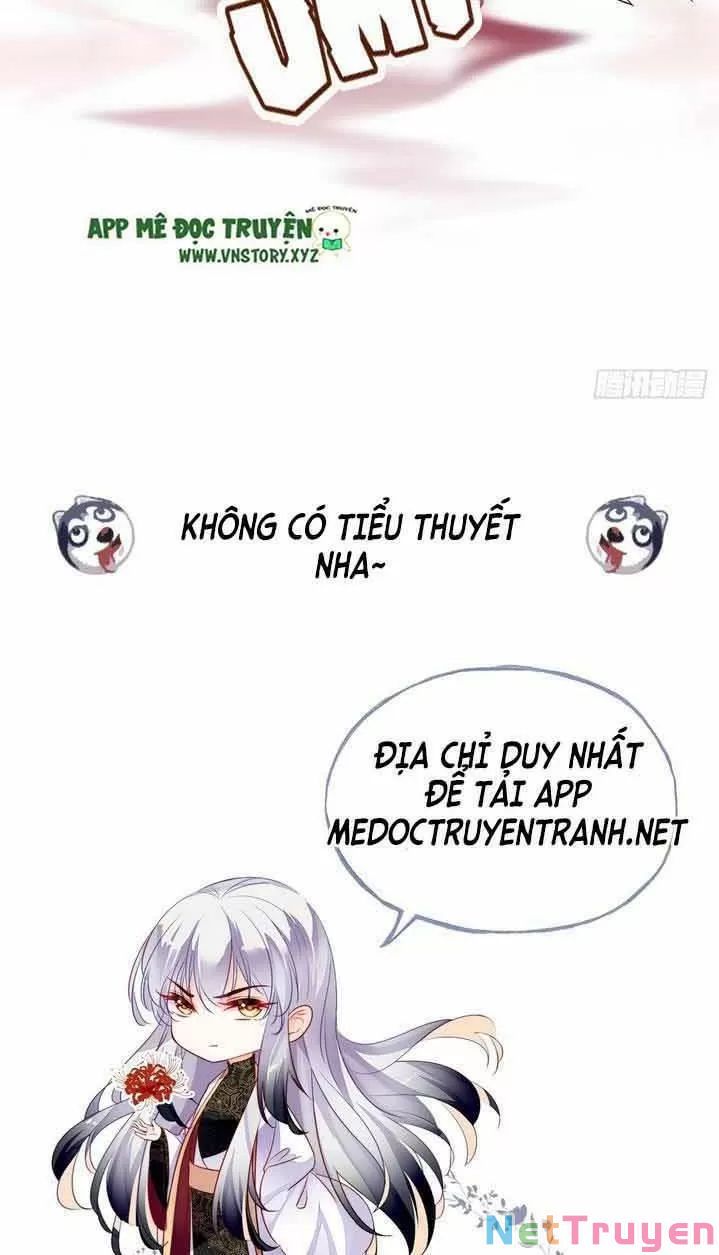 lại bị bệnh chiều chuộng quấn lấy chapter 8 44