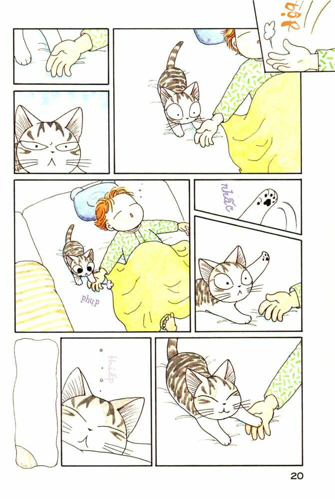 chi's sweet home chapter 23 2