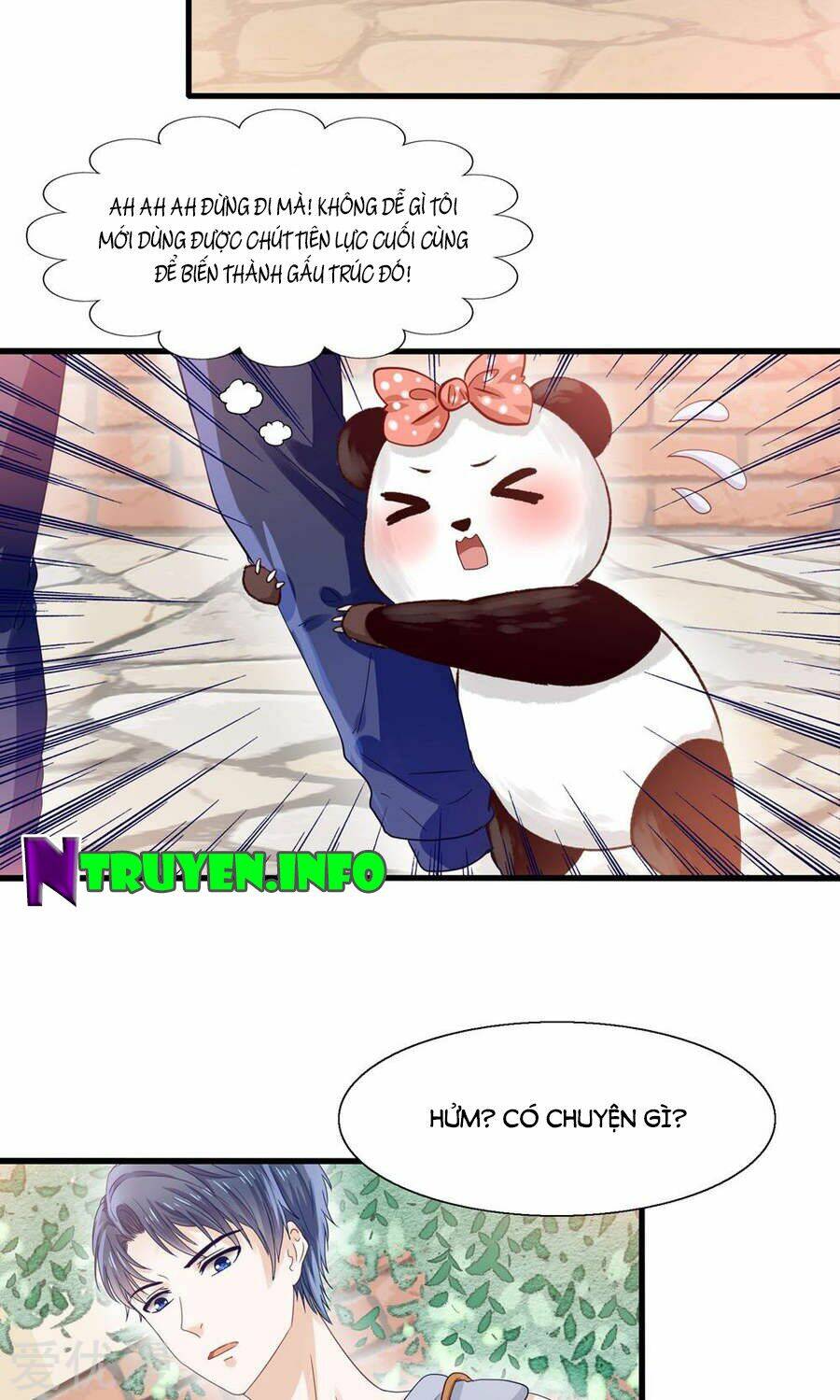 tôi bị gấu trúc nhìn trúng rồi chapter 3 4