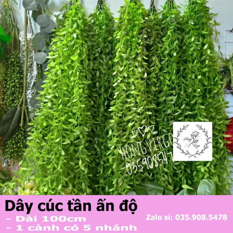 Dây leo giả cúc tần ấn độ Lá To dài 1m- Cây giả