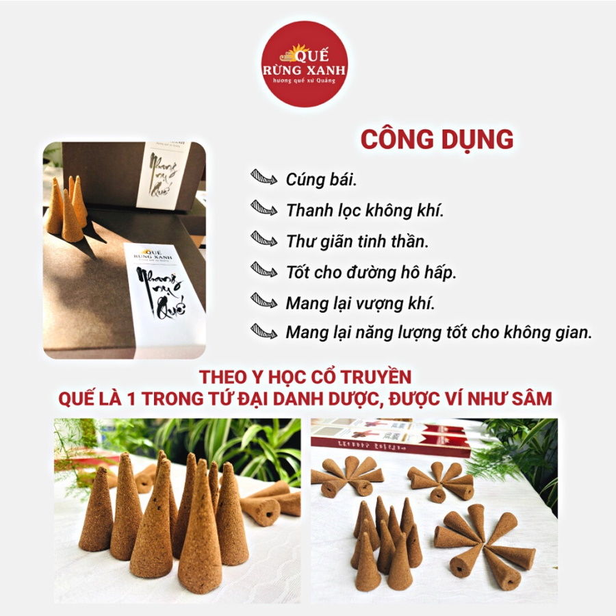 Nhang nụ Quế Rừng Xanh (Hộp 100 nụ)