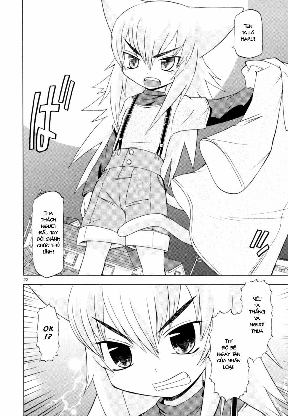 koi neko chapter 40 23