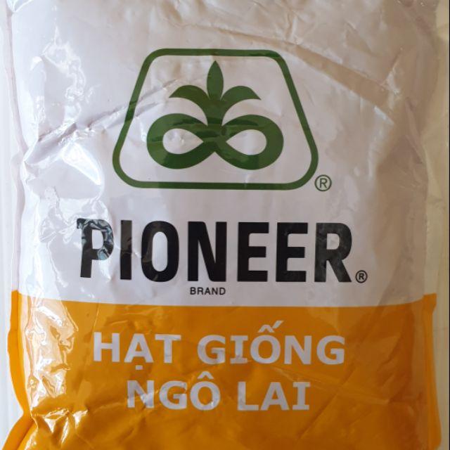 Hạt Giống Ngô lai đơn Năng Suất Cao P4311 - 800g túi ZIP - Ngô Sinh Khối chuyên làm thức ăn chăn nuôi - Hạt giống ngô chăn nuôi