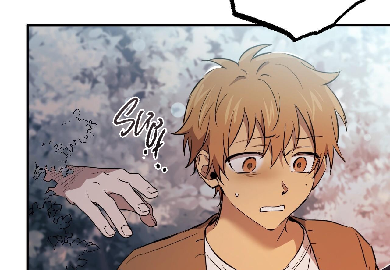 đàn thỏ của habibi chapter 62 13